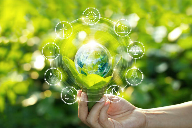Global Green: Initiatives Steering Us Towards an Eco-Friendly Future