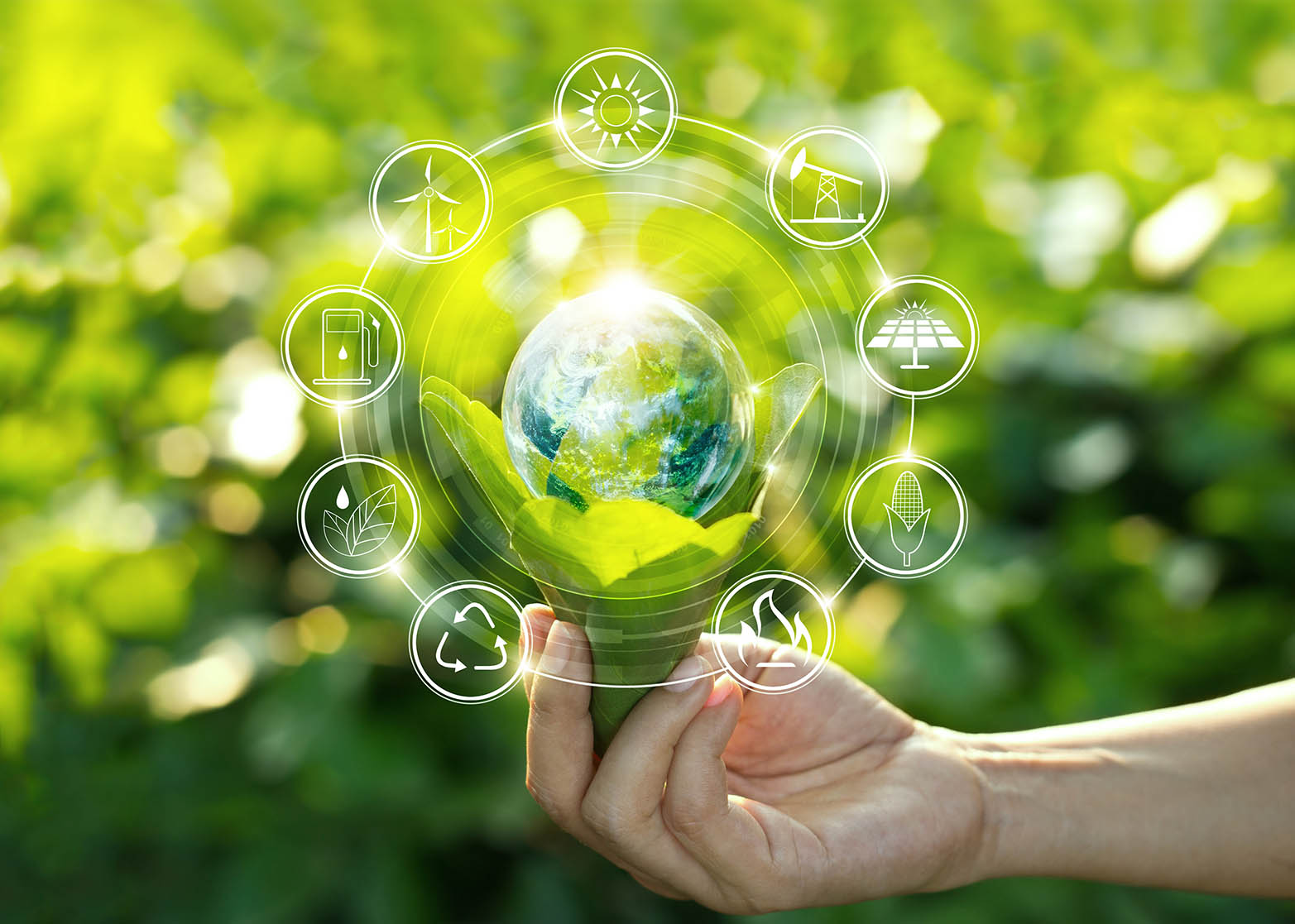 Global Green: Initiatives Steering Us Towards an Eco-Friendly Future