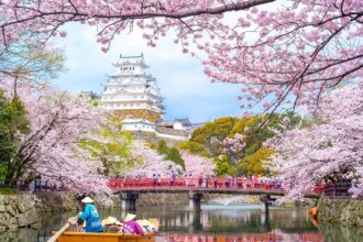 Travels in Japan: A Journey Through Culture and Beauty