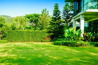 Crafting the Perfect Lawn: Tailored Care Packages Unveiled