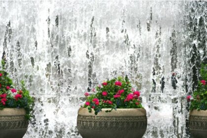 Nine Foolproof Reasons to Consider Water Features for Your Homes