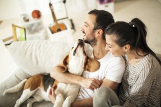 What Are Creative Ways to Celebrate the Holidays with Your Pet?