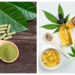 Leafy Contenders: Exploring the Differences Between Kratom and CBD