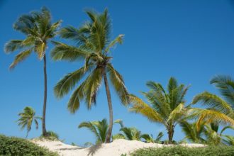 After Your Airport Transfer in Cancun... Your Ultimate Travel Guide