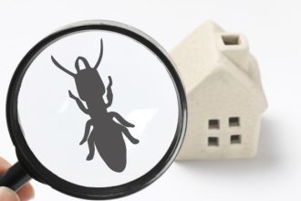Pest Control for Restaurants and Food Businesses