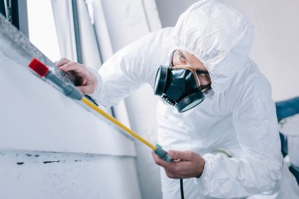 Safeguarding Homes and Businesses: Pest Management Services in Provo