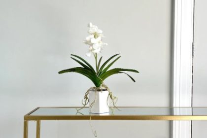 Silk Orchid Magic: Wholesale Beauty Awaits
