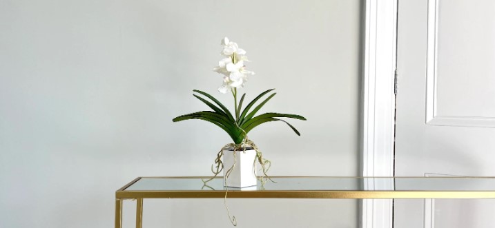 Silk Orchid Magic: Wholesale Beauty Awaits