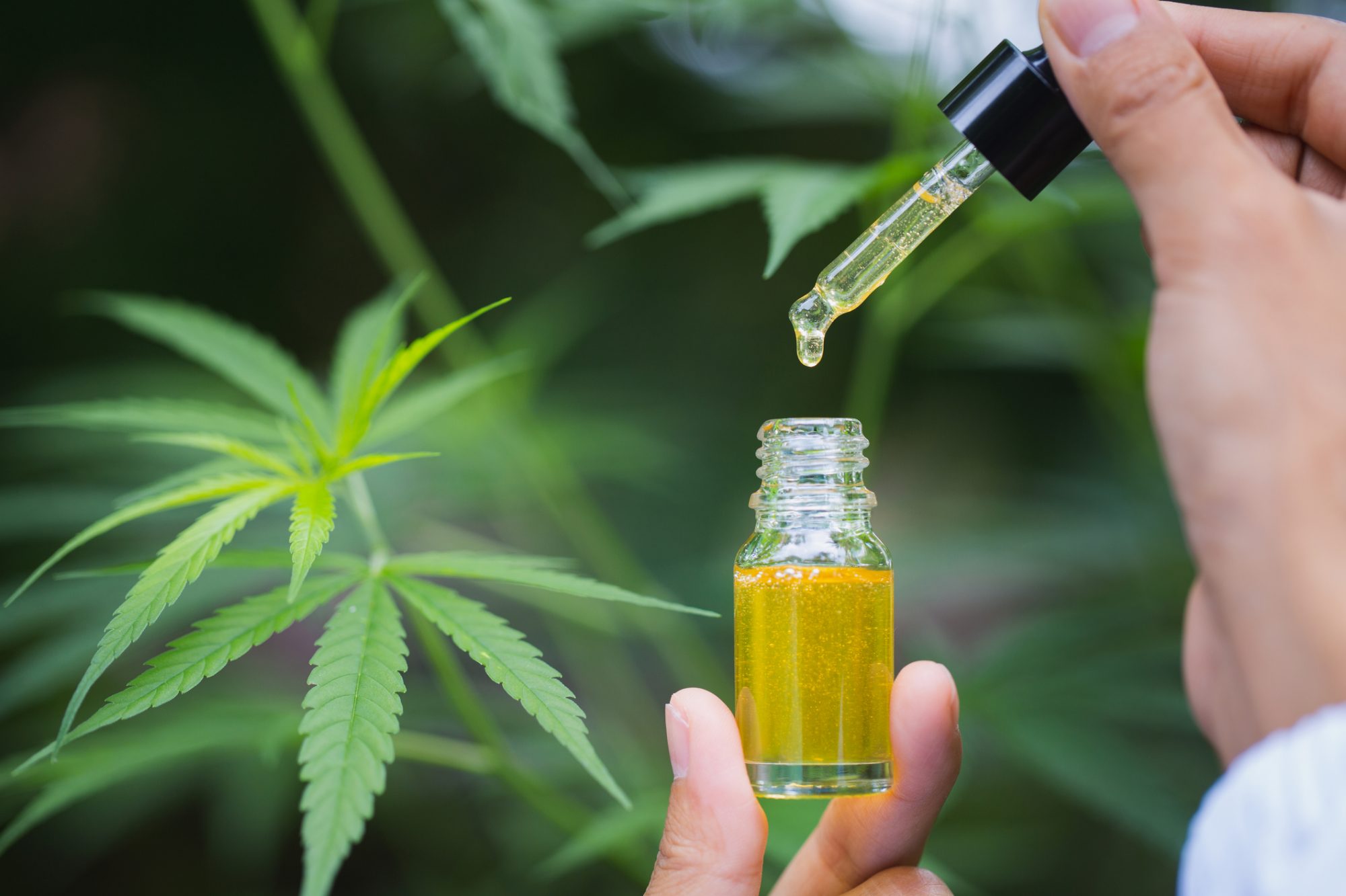 The Surprising Ways CBD Oil Can Boost Your Well-Being