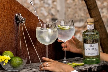 Enhance Your Drink: Finding the Best Tonic Water