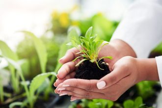 Organic Fertilisers for Healthier Plants and Soil