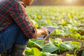 Agricultural Services for Farmers on the Marketplace VAS