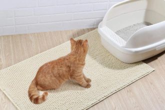 How Often Should a Litter Mat for Cats Be Changed?