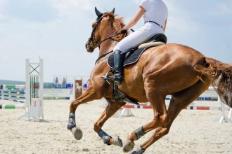 Organic Horse Supplements: 10 Natural Support for Your Equine Partner
