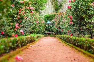 7 Tips for Making the Most of Your Garden During Summer