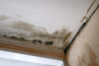 Drip by Drip: Understanding Common Water Leak Causes in Apartments