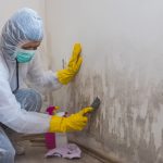 Why Mold Remediation Is Critical for a Safe and Healthy Home Environment